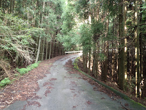 舗装路となる