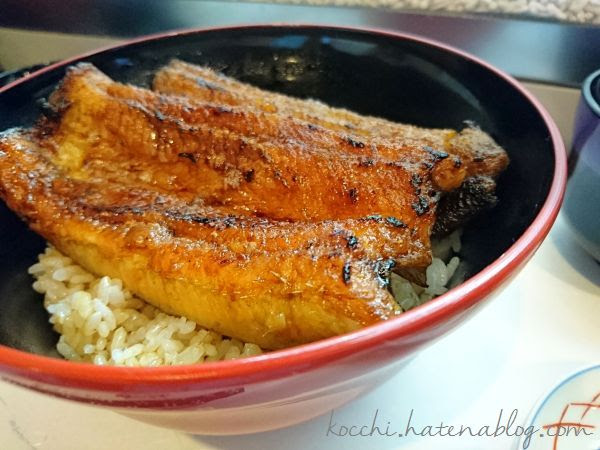 炭焼うなぎ 加茂-うな丼特上