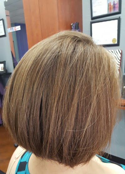 Photos of Salon Purple