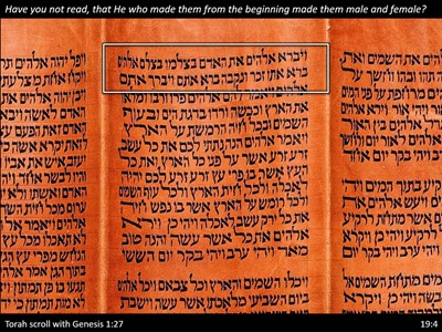 Genesis-1-cited-in-Matthew-19-Torah-Scroll