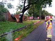 A mature Jacaranda Tree took out a residential boundary wall during heavy rains on Friday afternoon. 