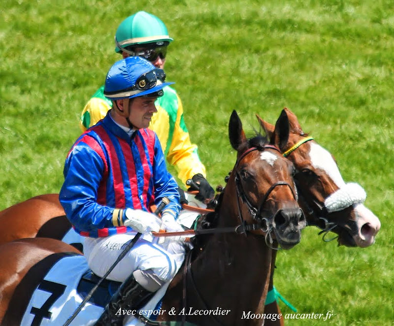 Photos Auteuil 8-06-2014  IMG_1554