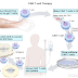 CAR T-Cell Therapy: How Does It Work in Treating Cancer?