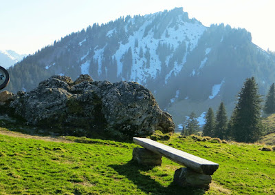 Blick Steineberg vom Bärenköpfle Allgäu Hörnergruppe