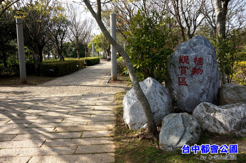 台中都會公園|走！跟阿新一起去台中都會公園踏青去~~這裡可是悠哉的很