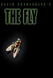 Fly