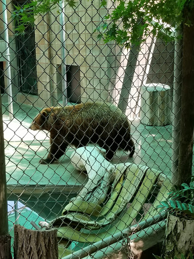 Zoo «Applegate Park», reviews and photos, 1045 W 25th St, Merced, CA 95340, USA