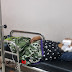 Istri Kampak Suami Saat Lelap Tidur