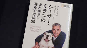 シーザー・ミランの犬と幸せに暮らす方法55