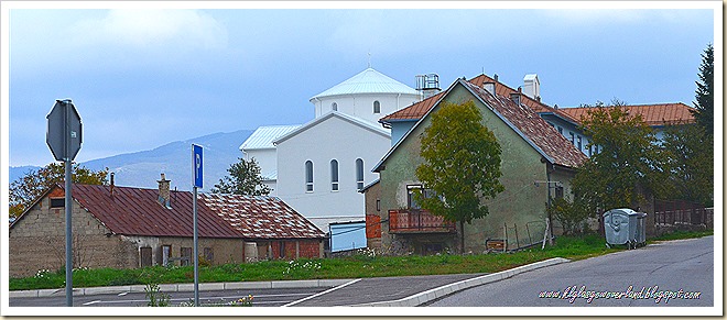DSC_0092 DSC_0092