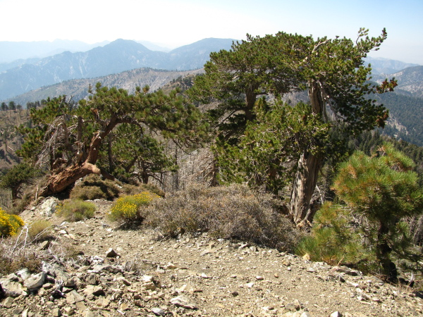 looking back to the next mountain