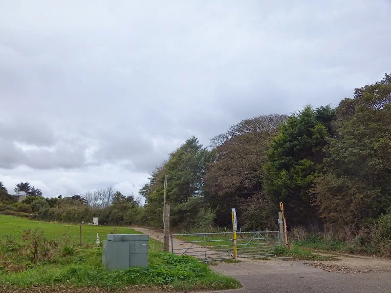 Broomhill plantation with East Runton Mill in the background