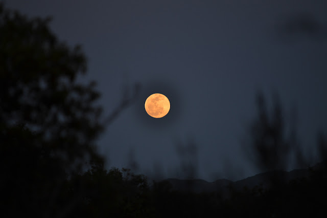 moon rising above Blue and Forbush canyons