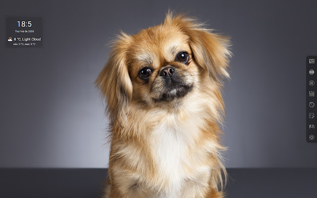 Pekingese HD Wallpapers - Custom New Tab