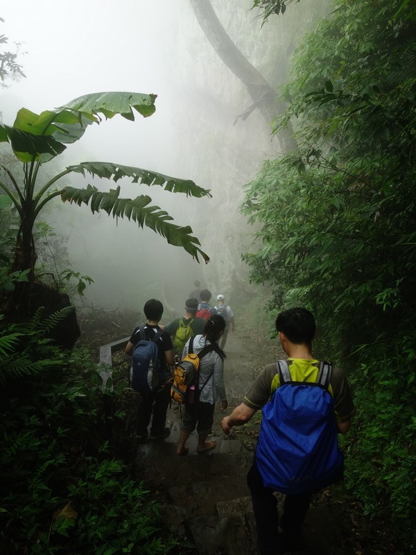 2014_0426 獅頭山古道連走猿山賞油桐花_0059