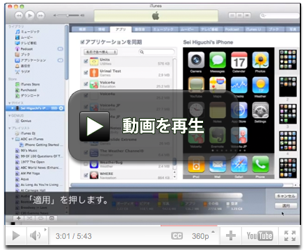Voice4u Japanese Install Guide