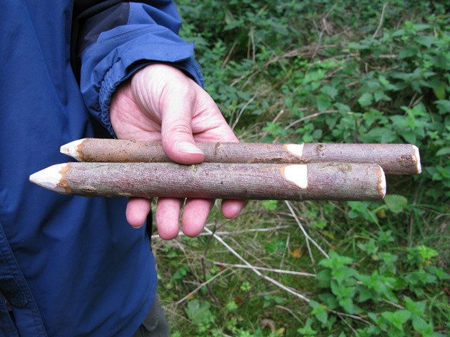 Fenland Bushcraft survival skills workshop Norfolk