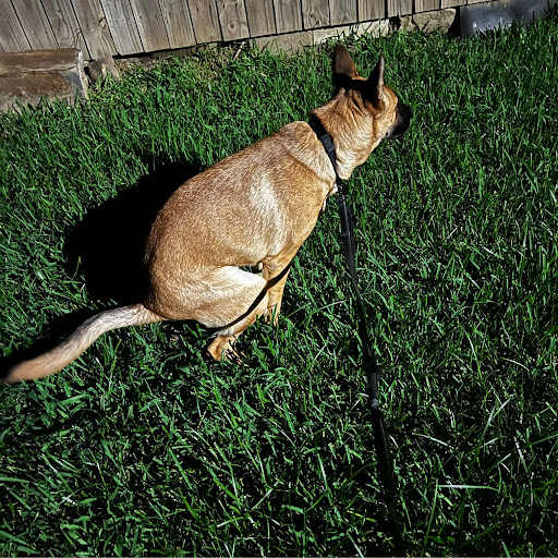 Valentina Mexican Hot Sauce, Salsa Picante Calories, Nutrition