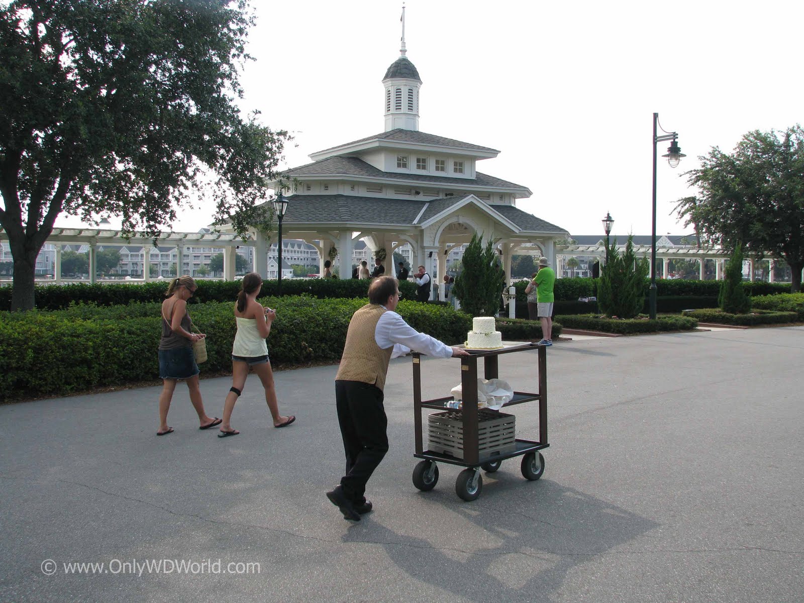 disney world wedding blog