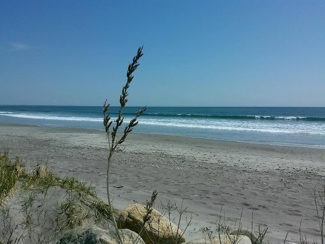 Scarborough Beach