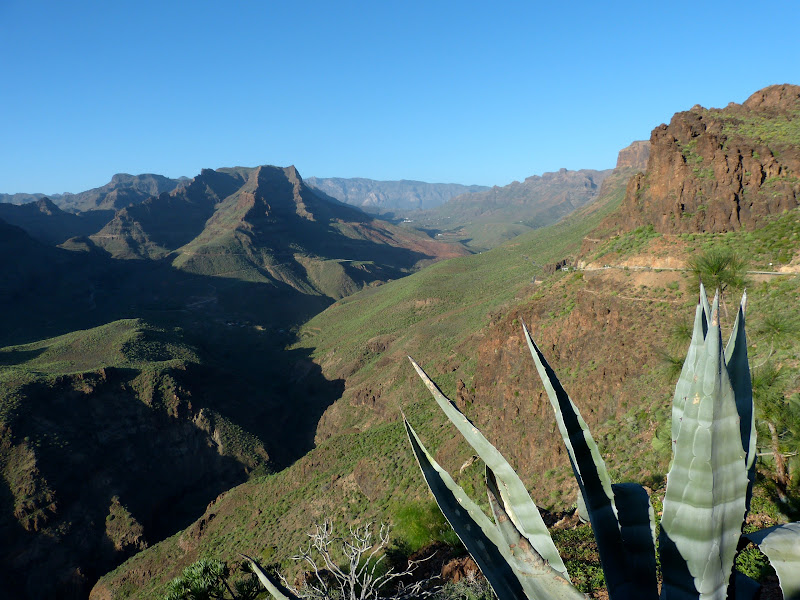 Gran Canaria P1180327