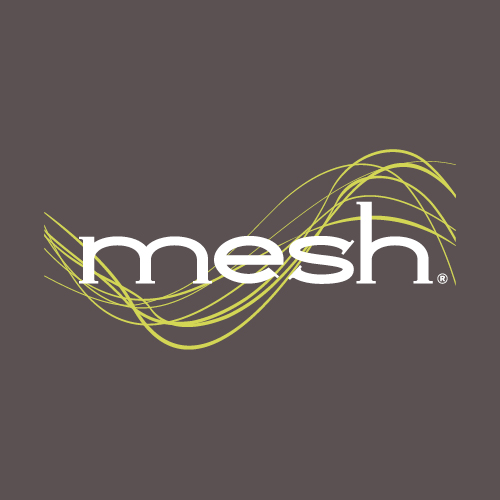 Mesh logo