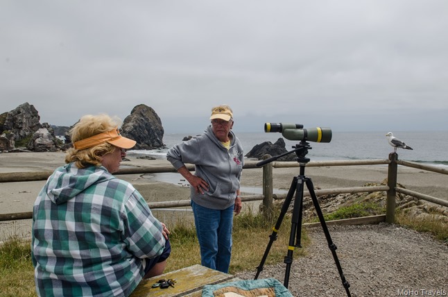 with Judy at the beach (6 of 13)