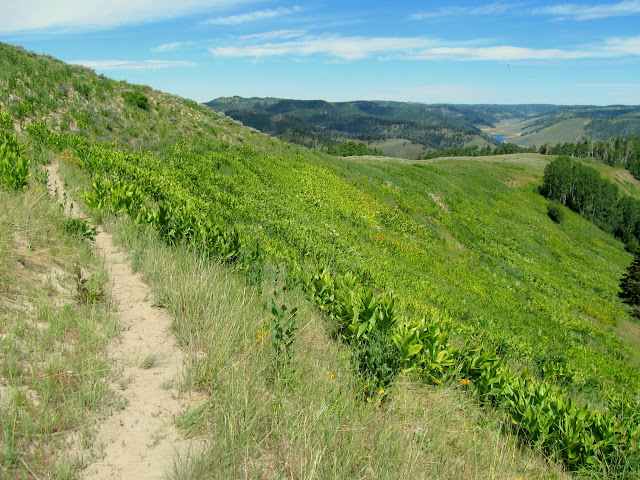 Heading down the ridge