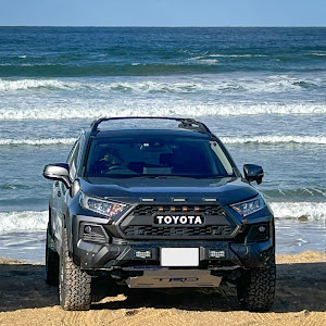 RAV4 MXAA54