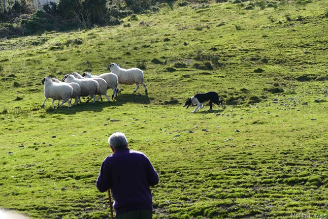 The Ring of Kerry (1 of 1)-28