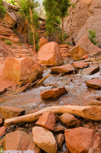 KANARRA FALLS (UTAH, USA), Excursiones-USA (18)