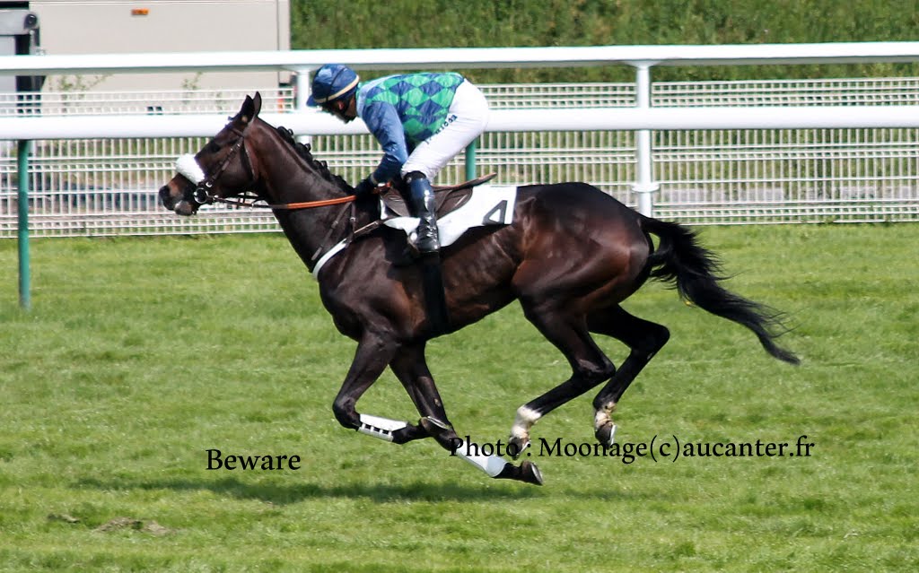 Photos Auteuil le 04-05-2014 IMG_0884