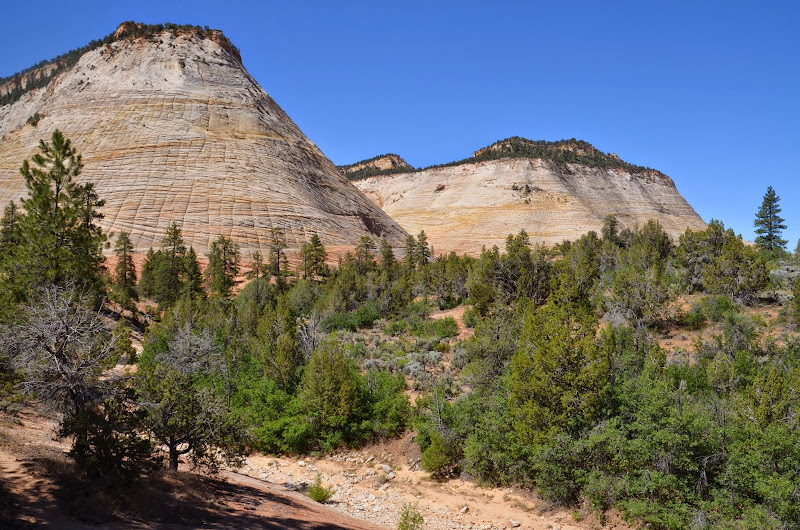 checkboard mesa