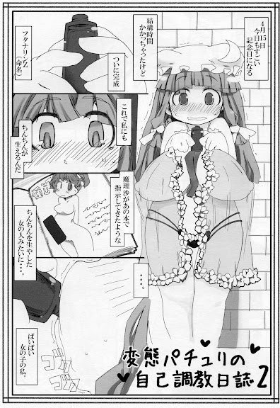 Hentai Patchouli no Jikochoukyou Nisshi 2