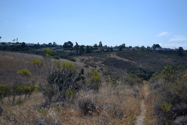 looking back to houses