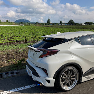 C-HR ZYX10