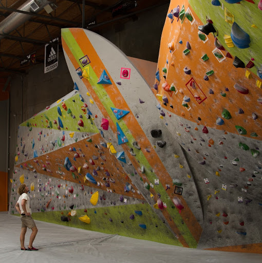 The Wall Climbing Gym