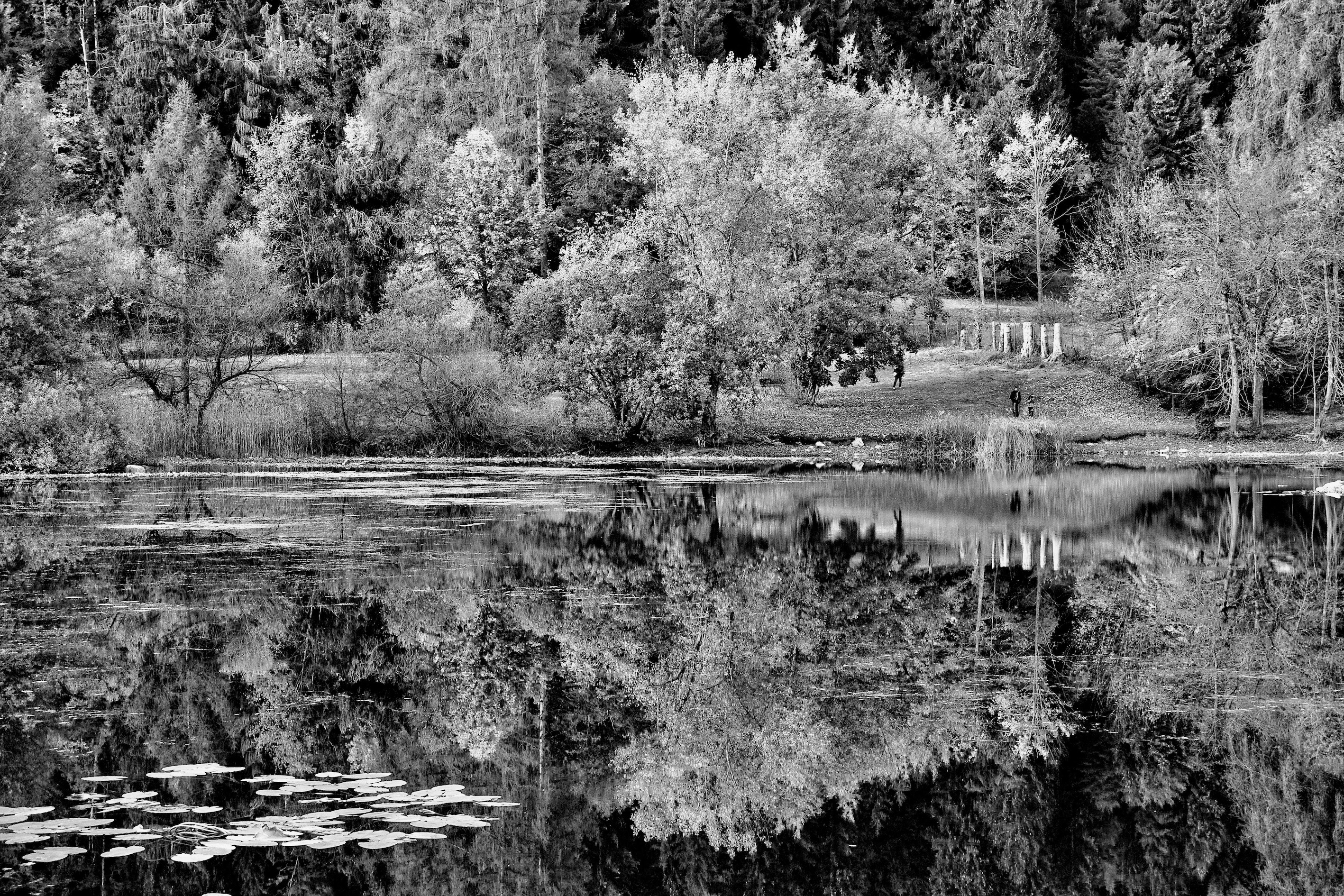 Riflessi lacustri di giuseppedangelo