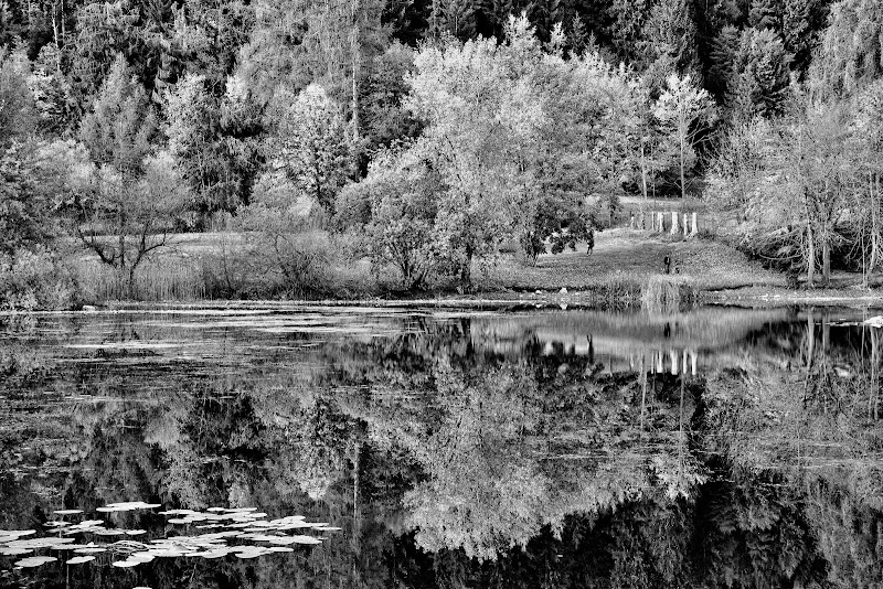 Riflessi lacustri di giuseppedangelo