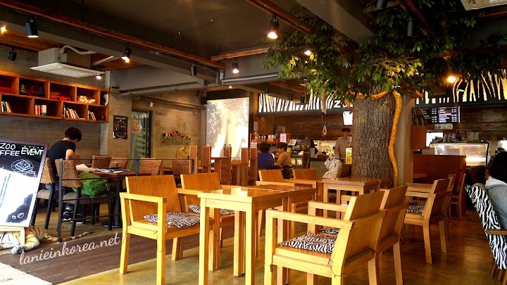 Zoo Cafe The Korean Cafe With Cute Animals Koreaboo