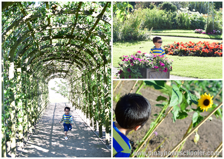 Marlay Park Walled Gardens