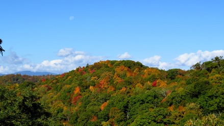 Blue Ridge Parkway