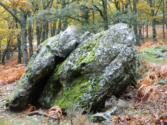 9%2C10+Y+11+DE+NOVIEMBRE+2012.++2%C2%BA+WEBCAMPADA+VALLE+DE+IRUELAS.+197.jpg