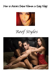 Cover of Reef Styles's Book How To Attract Online Women In Easy Way