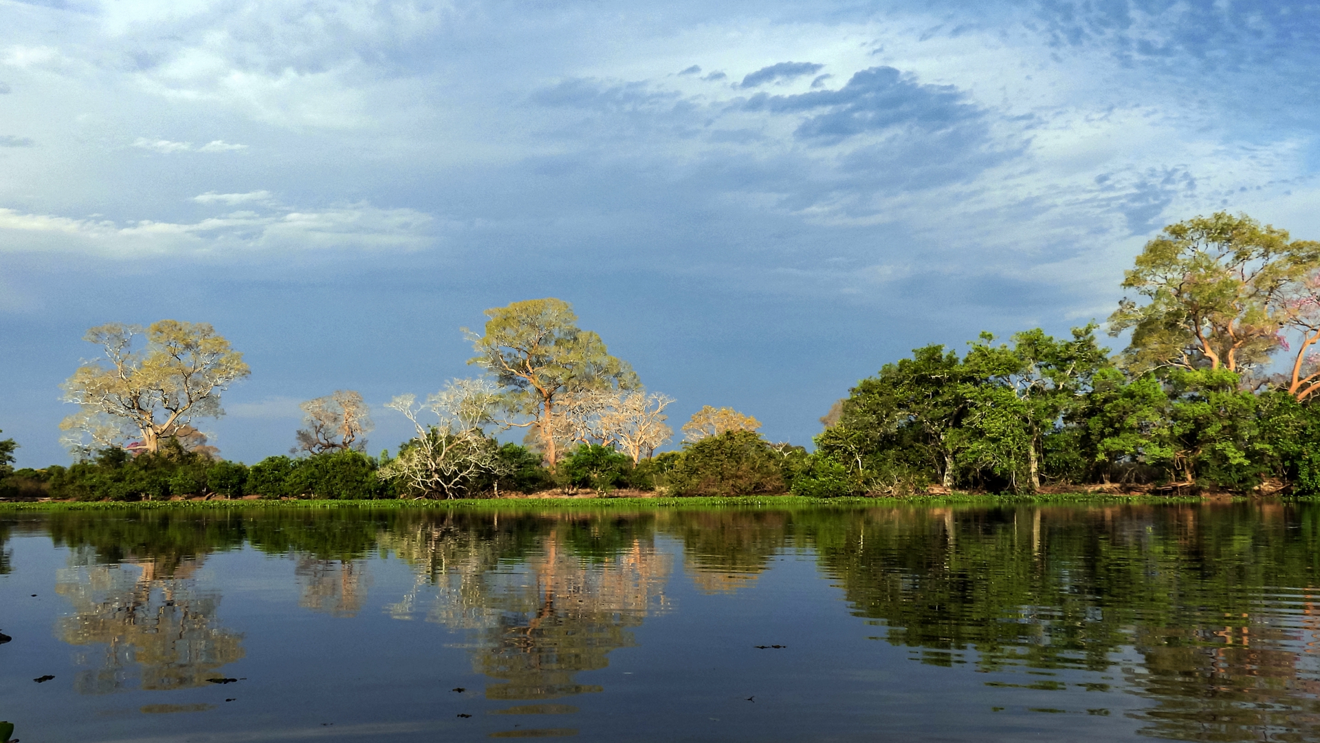 Colori e riflessi nel Pantanal