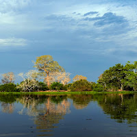 Colori e riflessi nel Pantanal