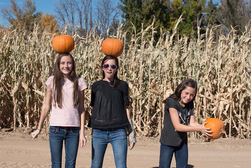 Canon City Pumpkin Patch-52