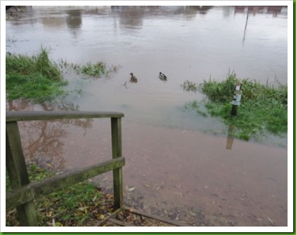 Evesham 22.11.16 Evesham 22.11.16