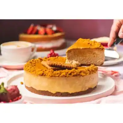 Biscoff Cheese Cake - Slice