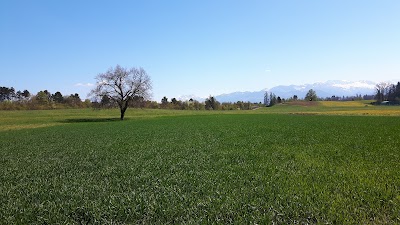 Photos of Gartencenter Meier